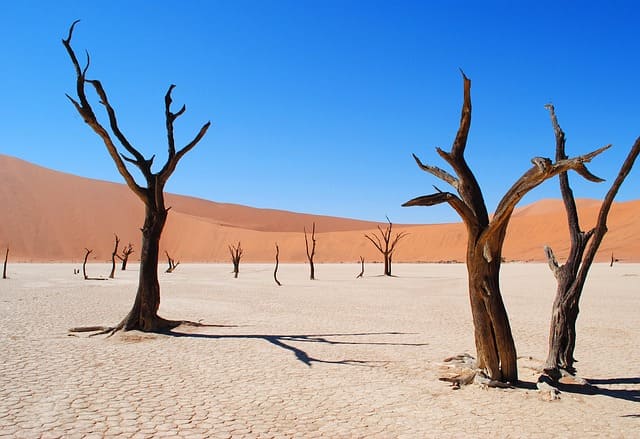 Sossusvlei
